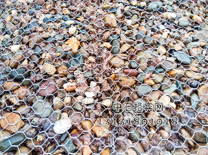 高爾凡格賓網13131891918